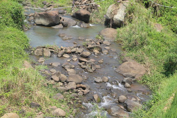 rivers dry in the dry season