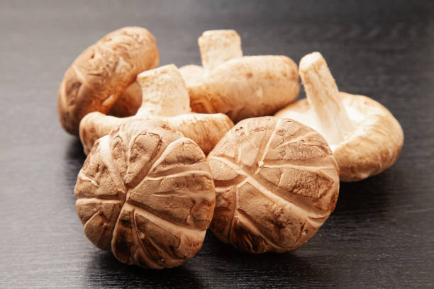 istock raw donko shiitake mushrooms 1977125289