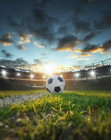 Football World Championship: Soccer Player Runs, Kicks the Ball. Ball Shoots, Grass Sprays Outwards, Full Stadium Crowd Cheers. Cinematic Shot Captures Glorious Victory. International Tournament.