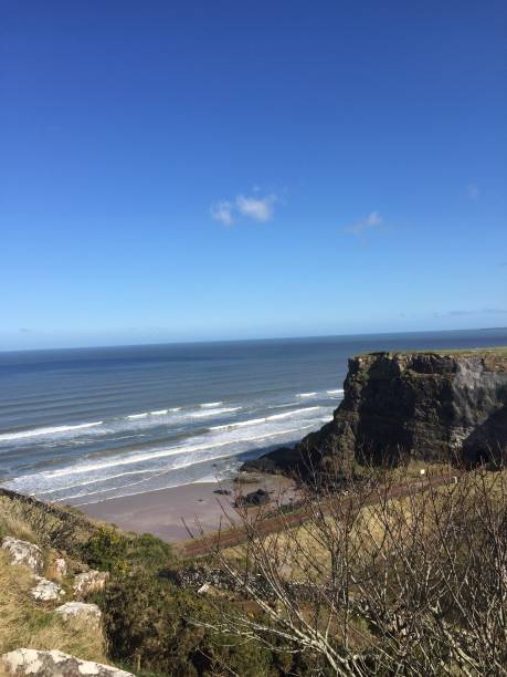 istock Natur in Irland 1977245847