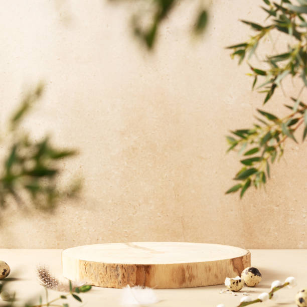 istock Empty round wooden podiums, quail eggs with green eucalyptus branches on a beige background. 1977327779