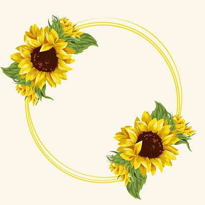 template for holiday cards consisting of yellow outlines of circles and open buds of yellow sunflowers, green leaves, template for postcards, invitations and banners