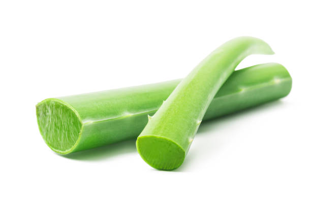 istock Aloe vera leaf cut isolated on a white background. 1977367052