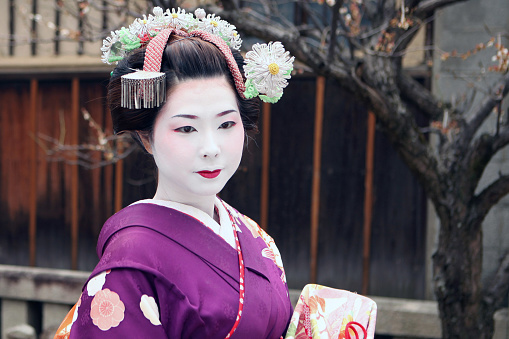 Beautiful Japanese geisha