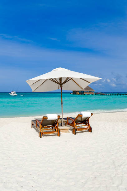 istock Two sun loungers on sandy beach in front of blue ocean 1977393351
