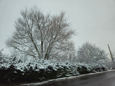 A snowy morning at Midge Hall, Leyland