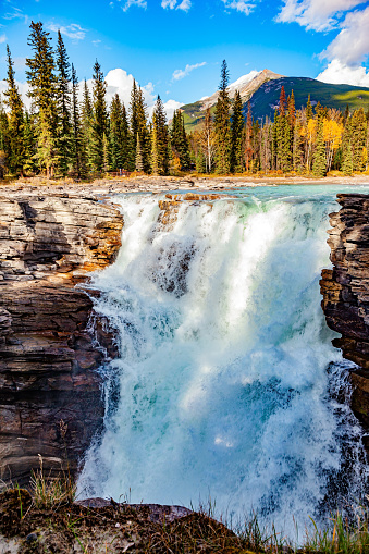 Athabasca Falls is the most powerful waterfall in Alberta. Picturesque forest and mountains illuminated by sunset. Jasper National Park. Canadian Rockies.