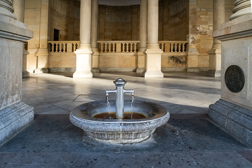 Le lavoir de la Fosse Dionne , source vauclusienne, situé dans le centre de Tonnerre en Bourgogne