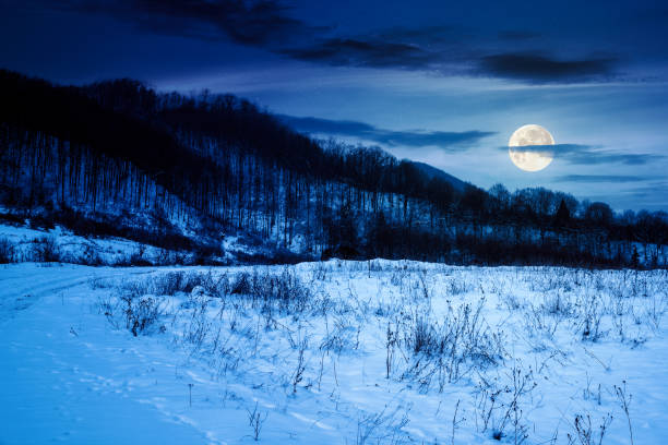 istock countryside scenery at winter night 1977424027
