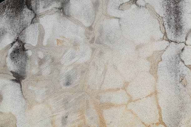 istock closeup texture old wall abstract background cement floor, Concrete crack, vintage wall background, old wall 1977462314