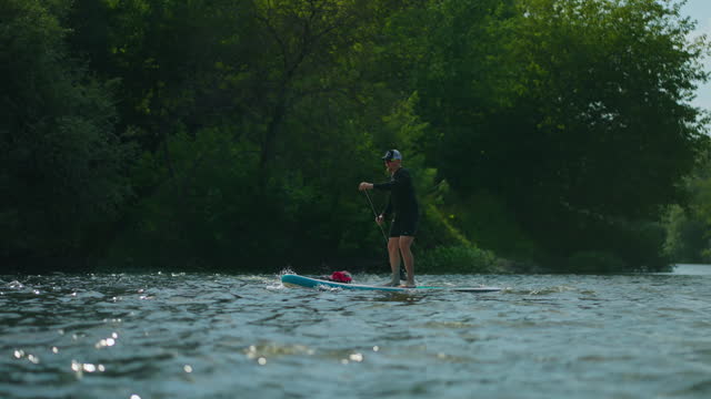 Athletic Young Adult Man Practicing Paddle Boarding In River In Summer , Standup Paddleboarding