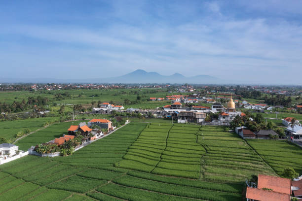 Rice paddy fields of Tabanan in Bali Indonesia