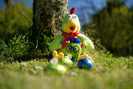 Easter chocolate with soft toy and flower. In the grass, nature. Traditional Easter Festival