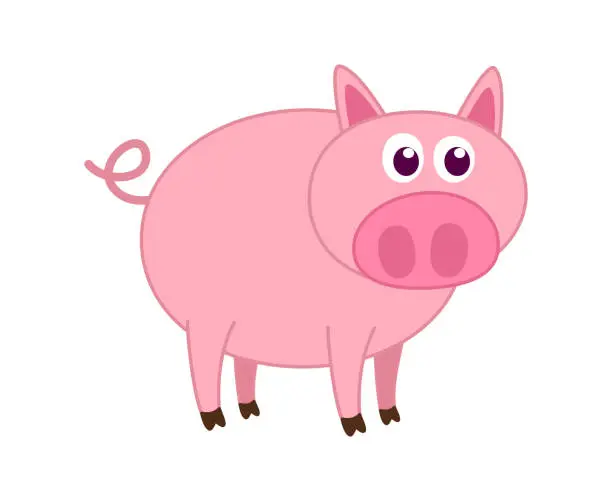 Vector illustration of A cute and young pink pig on a white background - vector