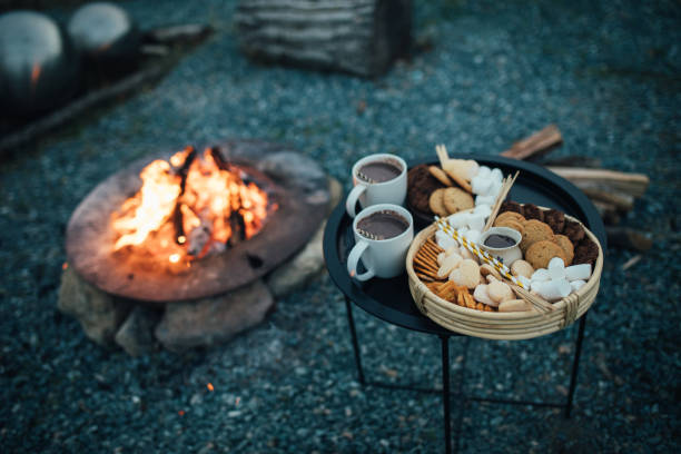 istock Marshmallows for roasting on a tray with campfire on the background. 1977510005