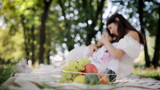 Family concept of leisure and relaxation. Basket of fruits on blanket in foreground and mother with daughter in blurred background