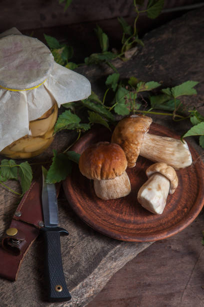 clay plate with porcini mushroom commonly known as boletus edulis, glass jar with canned mushrooms and knife on vintage wooden background. - mushroom stem cap plate imagens e fotografias de stock