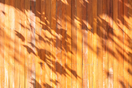Tree leaves shadow on wooden wall background