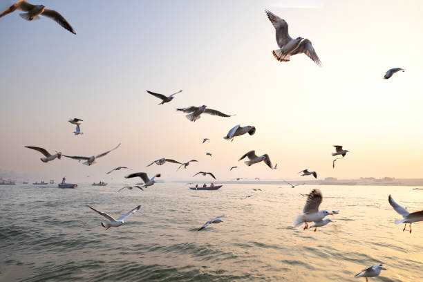 istock The river Ganges at Varanasi,India. 1977523086