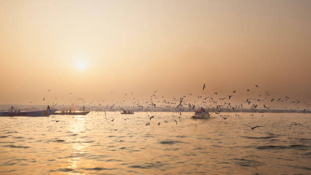 istock The river Ganges at Varanasi,India. 1977523492