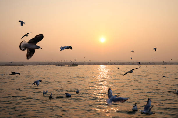 istock The river Ganges at Varanasi,India. 1977523494