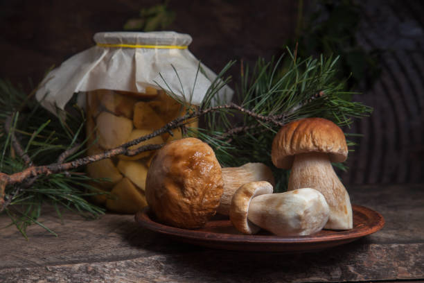 clay plate with three porcini mushrooms commonly known as boletus edulis and glass jar with canned mushrooms on vintage wooden background. - mushroom stem cap plate imagens e fotografias de stock