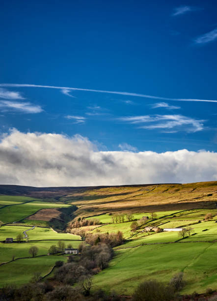 january wensleydale - wensleydale blue photos et images de collection