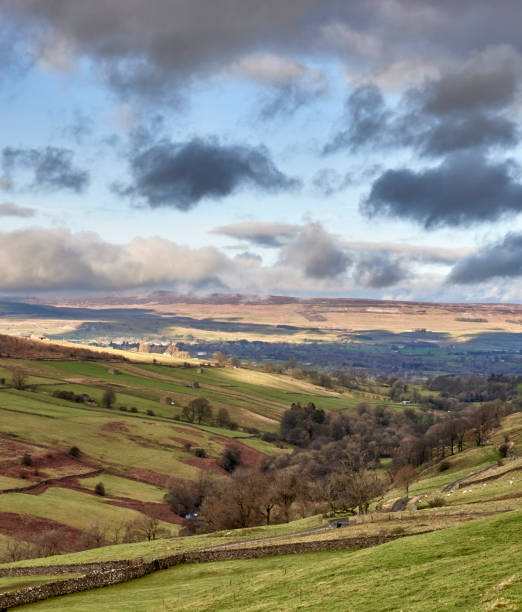 january wensleydale - wensleydale blue zdjęcia i obrazy z banku zdjęć