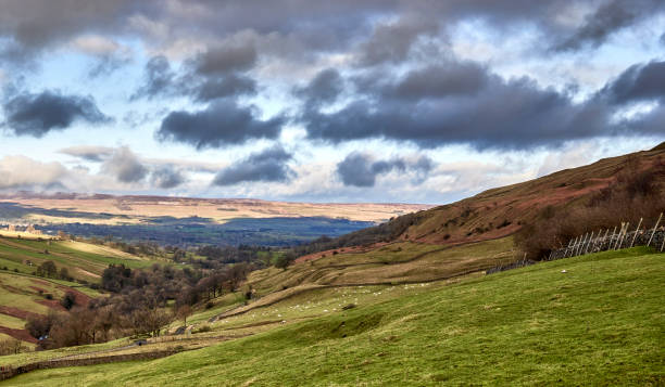 january wensleydale - wensleydale blue ストックフォトと画像