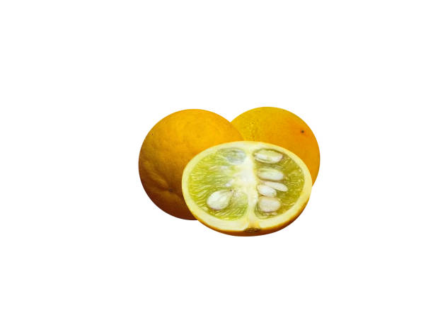 trifoliate orange or citrus trifoliata - chi chi zdjęcia i obrazy z banku zdjęć