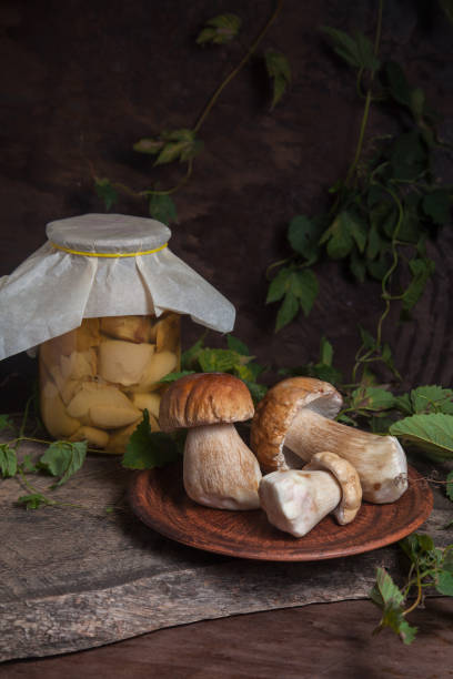 clay plate with porcini mushroom commonly known as boletus edulis and glass jar with canned mushrooms on vintage wooden background. - mushroom stem cap plate imagens e fotografias de stock