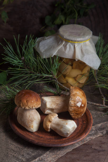 clay plate with three porcini mushrooms commonly known as boletus edulis and glass jar with canned mushrooms on vintage wooden background. - mushroom stem cap plate imagens e fotografias de stock