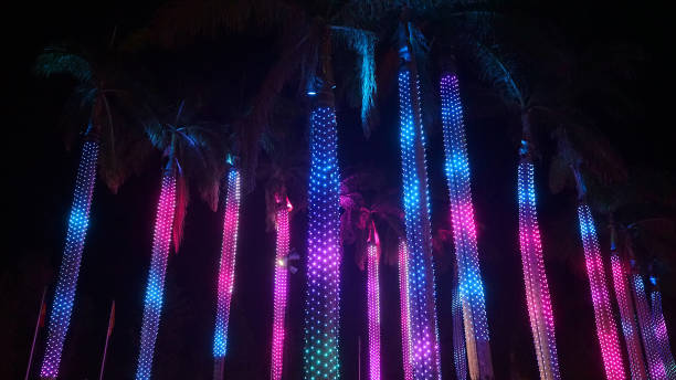 Creative palm tree alley near Broadbeach on the Gold Coast