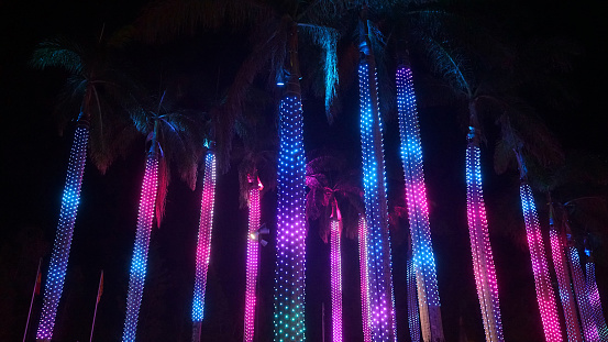 The Holiday Lights Spectacular lights up beautiful palm tree alley near Broadbeach on the Gold Coast
