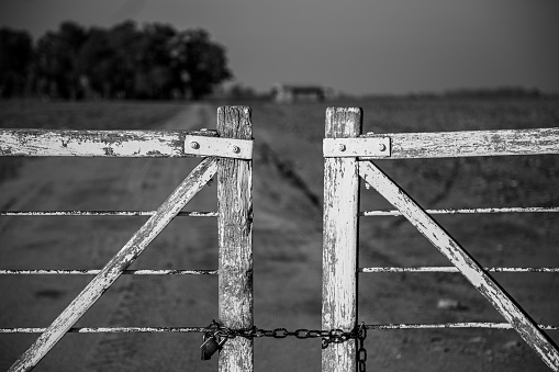 An aged chain link fence extending into the distance