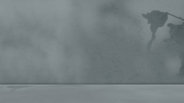 Beige Background Product Green Wall Studio Backdrop Floor Shadow Beige Light Podium Table Room Photography Concrete Bg Platform Empty Place Kitchen Mockup Cement Scene Autumn Pattern Grey 3d Loft.