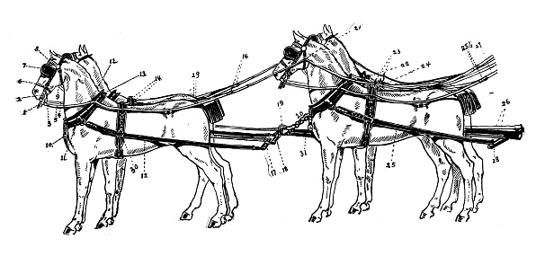 Sport and pastimes in 1897: Horse carriage reins holding techniques