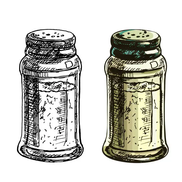 Vector illustration of Salt shaker. Vector color vintage hatching illustration isolated on white