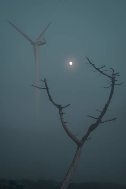 pień martwej sosny obejmuje księżyc w pełni z turbiną wiatrową w tle - cirrostratus zdjęcia i obrazy z banku zdjęć