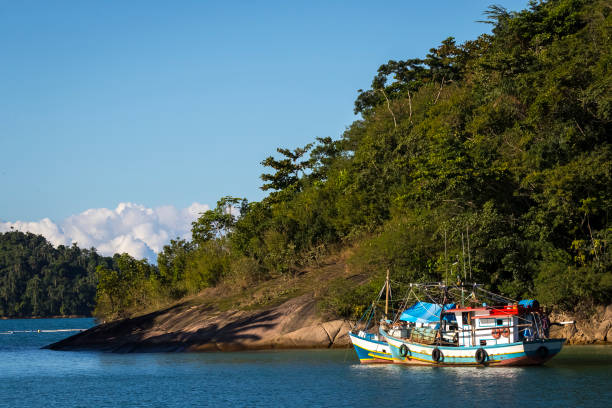 istock Artisanal fishing boats 1977657068