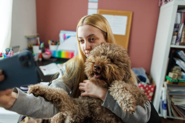 istock Young Female Pet Owner Taking Selfie With Dog 1977662877