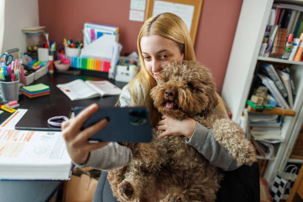 istock Young Female Pet Owner Taking Selfie With Dog 1977662886