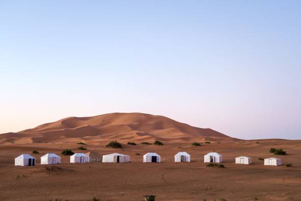 istock caravan in desert, photo as background 1977672050