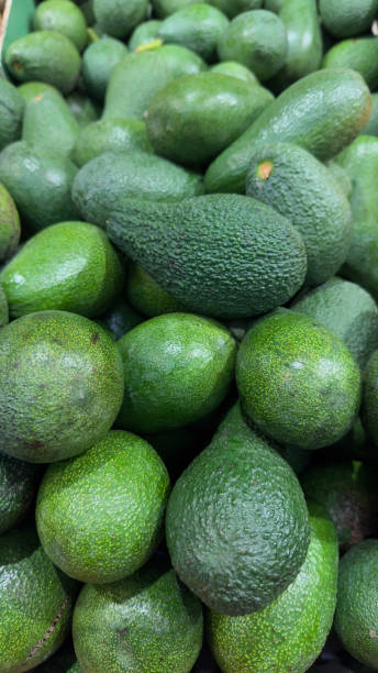istock Close-up avocado stock Photo 1977711543