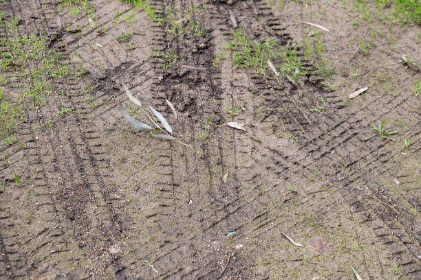 istock car tire tracks on wet soil. Tire marks tread. 1977722380