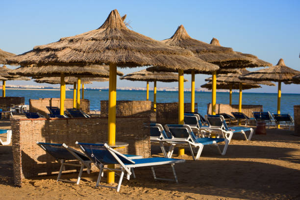 Straw umbrellas with sun loungers on the beach. Row of places to relax in the shade on a sandy beach near the Red Sea in Egypt