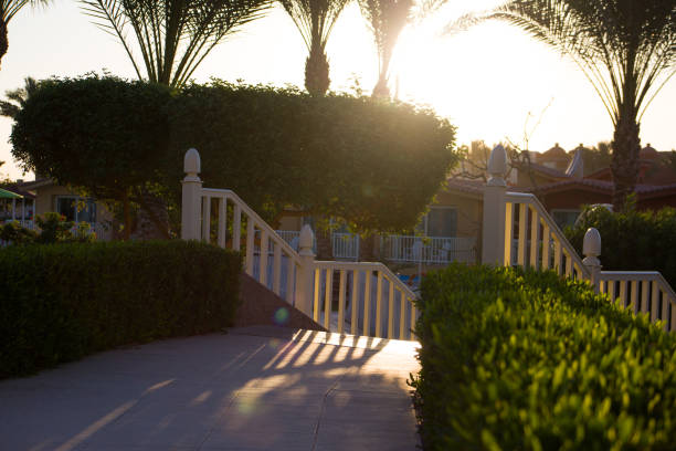Lush plants border a serene walkway leading to a clear blue pool surrounded by colorful flowers in a sunny atmosphere.