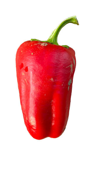 istock unwashed red peppers on a white background 1977746887