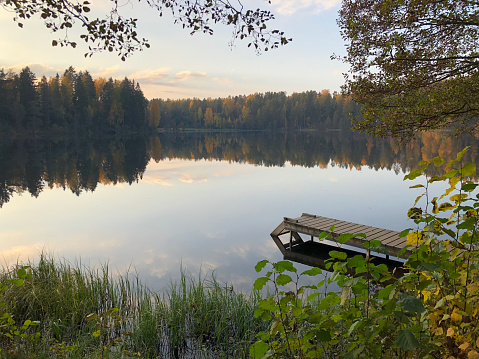 Autumn forest landscape by the break of day. See reflection on the water with wooden pier