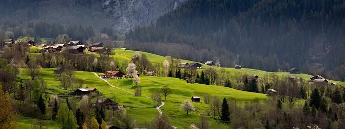 Buildings, Grindelwald, Bernese Oberland, Switzerland (2).jpg